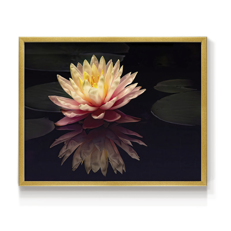 Photography Study Water Lily -Framed Print - Restickable