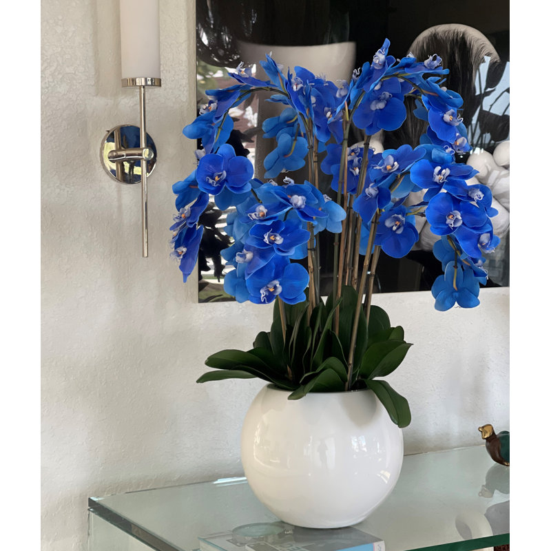 Phalaenopsis Orchid Floral Arrangement in Pot, Blue