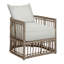 Newport Arm Chair with Cushions-84544964-63361294-93646464