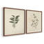 «Vintage Floral XIX», estampe numérique encadrée - ensemble de 2-1998867488-1998867494