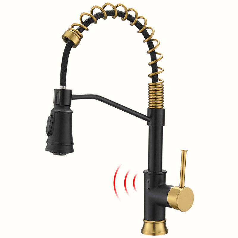 HOOSENG Pull Down Touchless Kitchen Faucet, Gold/Matte Black