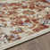 Raashi Washable Abstract Indoor Rug