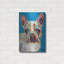 «Nosy Dog 3» par Carolee Vitaletti-411443060