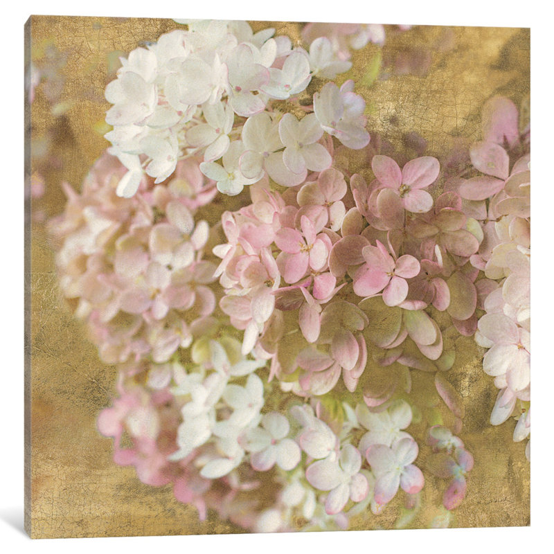 « gilded hortensia ii », impression sur toile tendue, H 12 po x l 12 po x P 1,5 po, Toile tendue, Pas de tapis