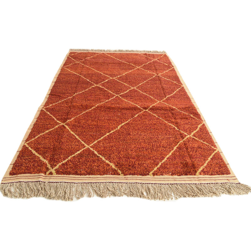 Oavia Orange Rug