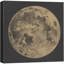 Pleine lune-102480372-102480374