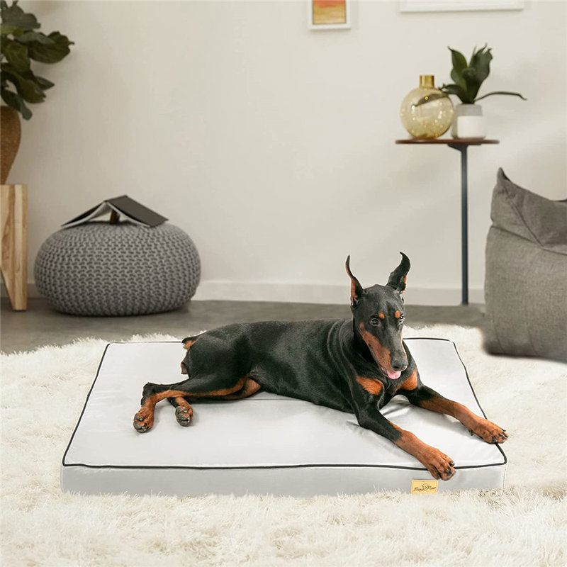 Orthopedic Polyester Pet Bed, 8cm H x 95cm W x 70cm D