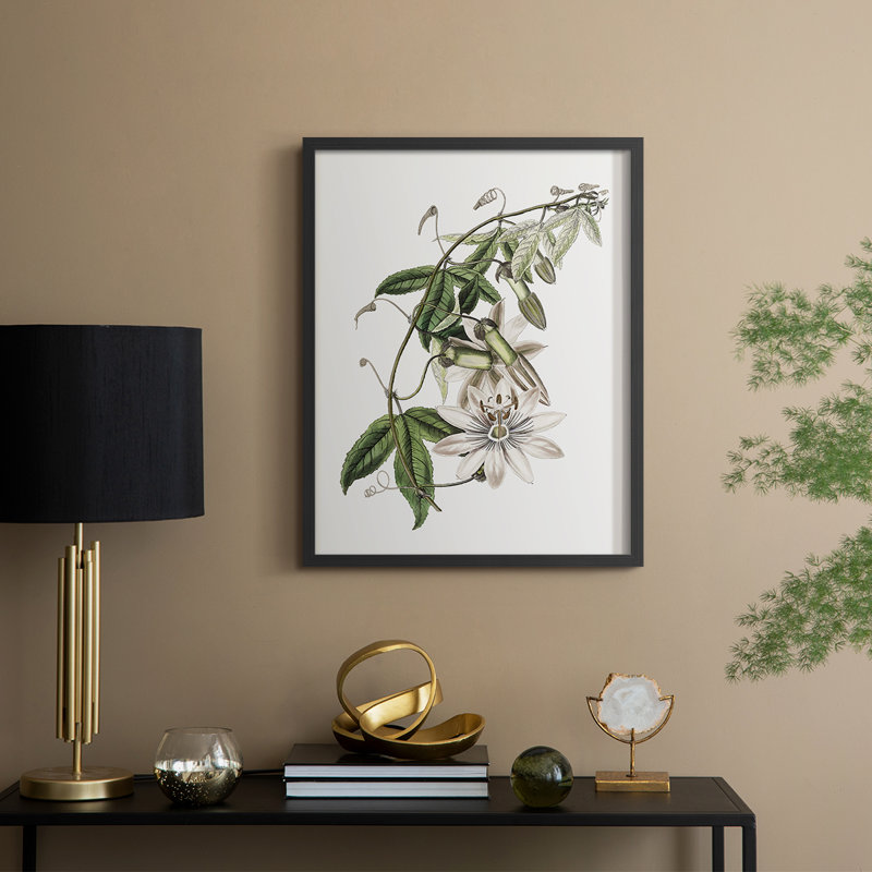Tropical Botanical II, reproduction encadrée - bois massif, H 15 po x l 12 po, Noir, noir, noir, noir