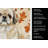 Fawn Pekingese Heirloom Fall Kitchen Towel-1218231056