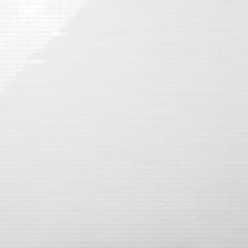 Thassos .75x4 Big Brick Polished Marble Tile