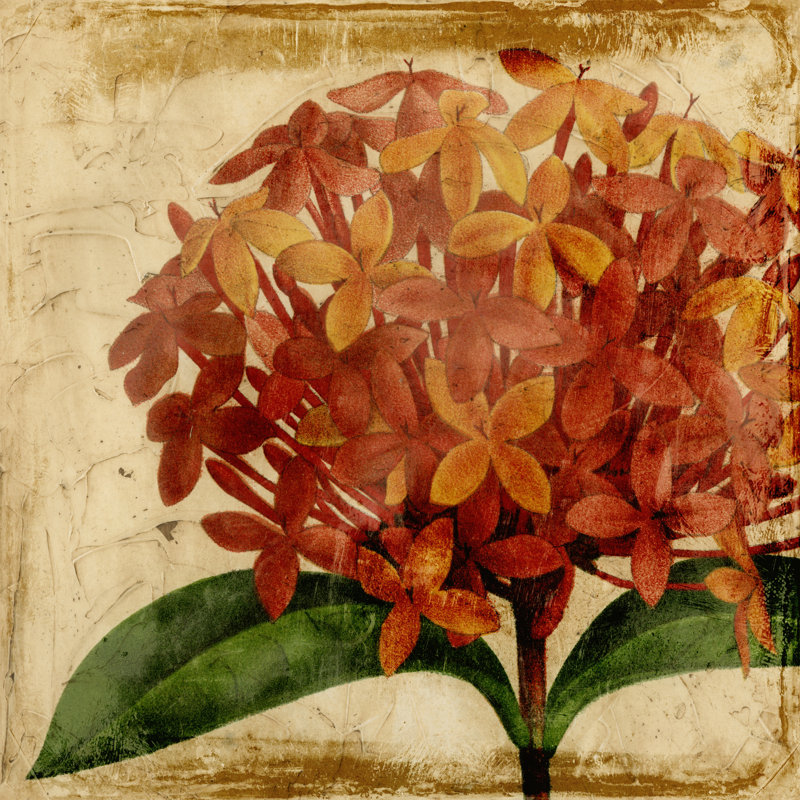 Vibrant Floral III by Vision Studio - Wrapped Canvas Print, 76cm H x 76cm W