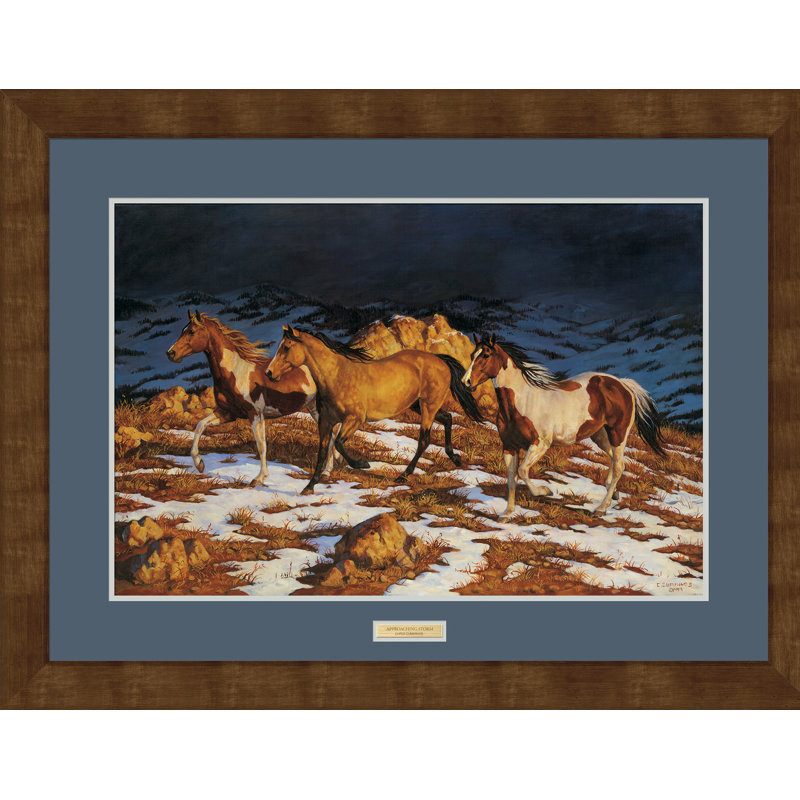 Acrylic Print
