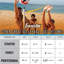 Ensemble de volleyball récréatif Franklin Sports