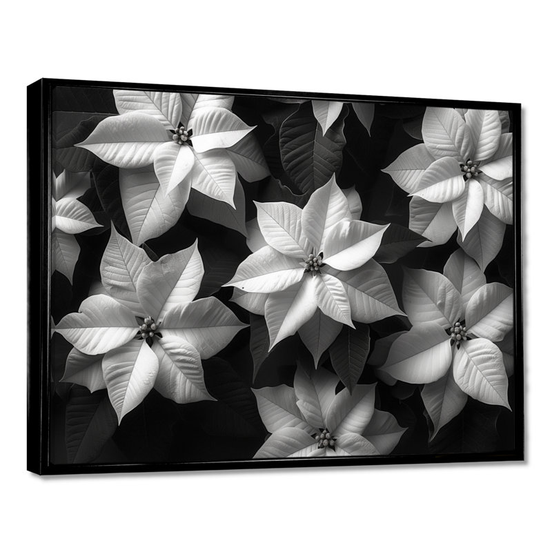 Beauté botanique monochrome poinsettias - Décoration murale poinsettias, Toile avec cadre flottant noir