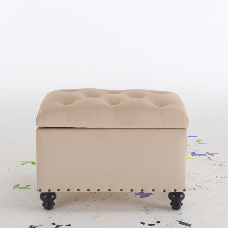Dhiren 23.6" W Rectangle Upholstered Storage Ottoman, Khaki Velvet