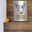 Art mural en métal Trinx «White Bull Terrier with Sign» par Danny Gordon-50255598