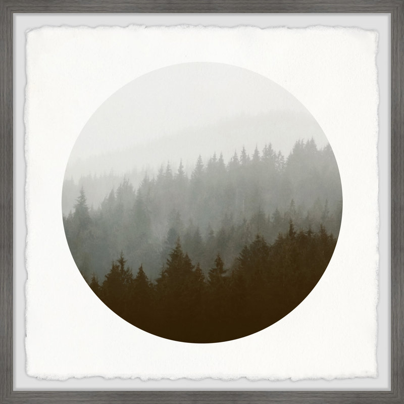 «Fog Forest» par Marmont Hill - photographie avec cadre photo, H 24 po x l 24 po x P 1,5 po