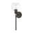 Koehn Steel Armed Sconce-208947633