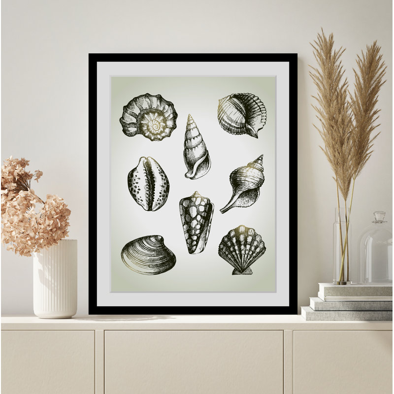 Shell - Single Picture Frame Print