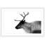 « antler profile », reproduction de photo sur papier encadrée-19578900-20841202