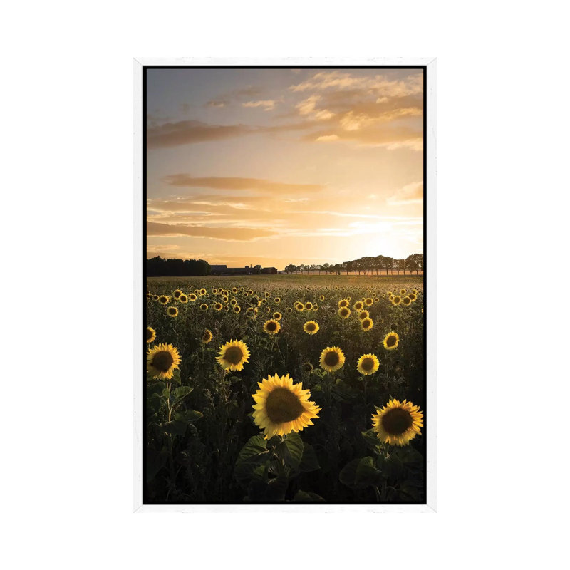 Sunflowerfield in Sweden 1 Piece Wall Art on Canvas, 101.6cm H x 20.32cm W x 3.81cm D, White Framed Canvas