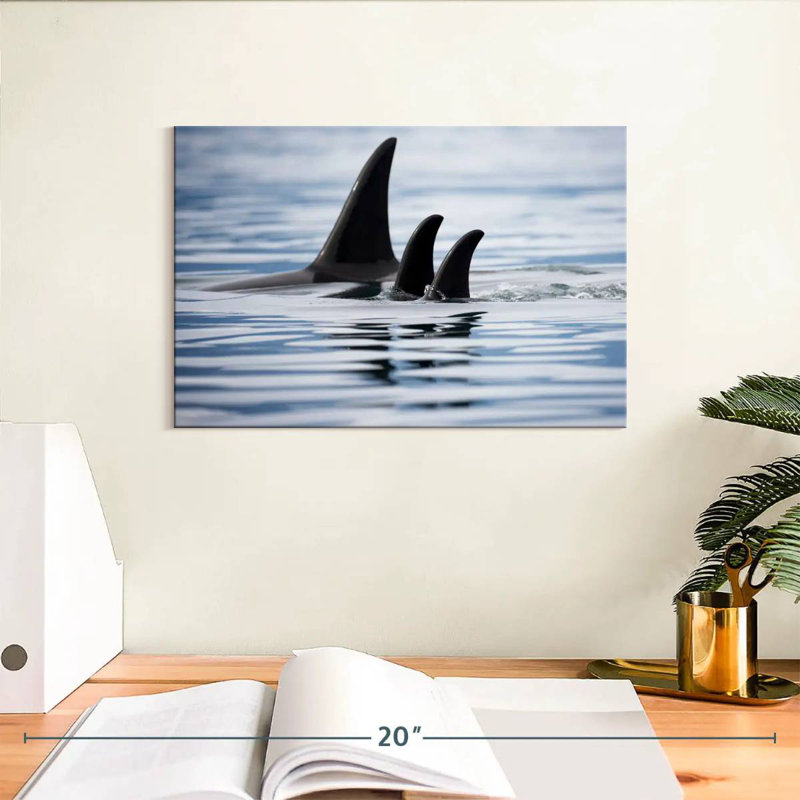 Brampt Killer Whale Fins, 8" H x 12" W