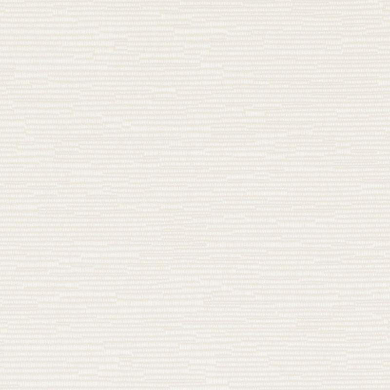 Tissu Briscoe, Coquillage
