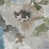 Blue/Gray Polyester