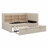 Upholstered Daybed With Trundle, Storage Shelves, USB & Outlet-1238189101