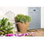 Handmade Pot Planter-14486386