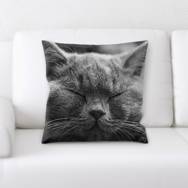 Cat Throw Pillow
