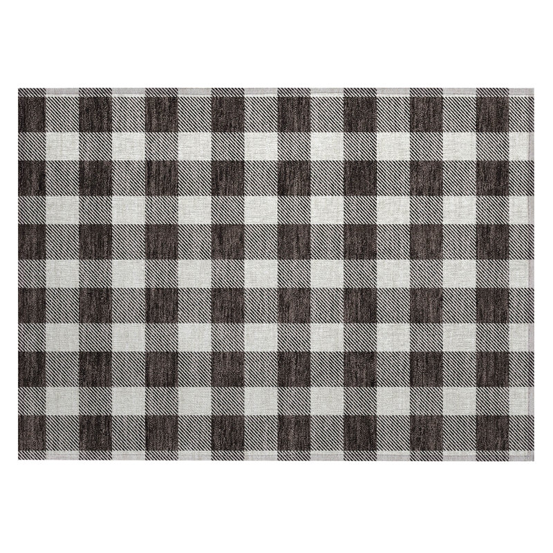 Colzie Flatweave Gingham Indoor / Outdoor Rug, Rectangle 1'8" x 2'6"