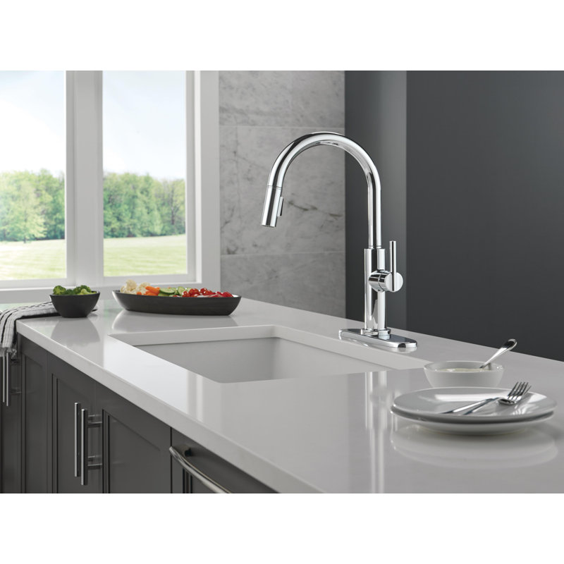 Robinet d'évier de cuisine à bec rétractable Nicoli, robinet de cuisine à poignée simple, Chrome chrome