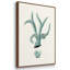 Ensemble de 3 pièces encadrées sur toile Antique Coastal Coral X-97760424-97760429