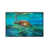 White Floater Framed