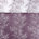 Lilac/White