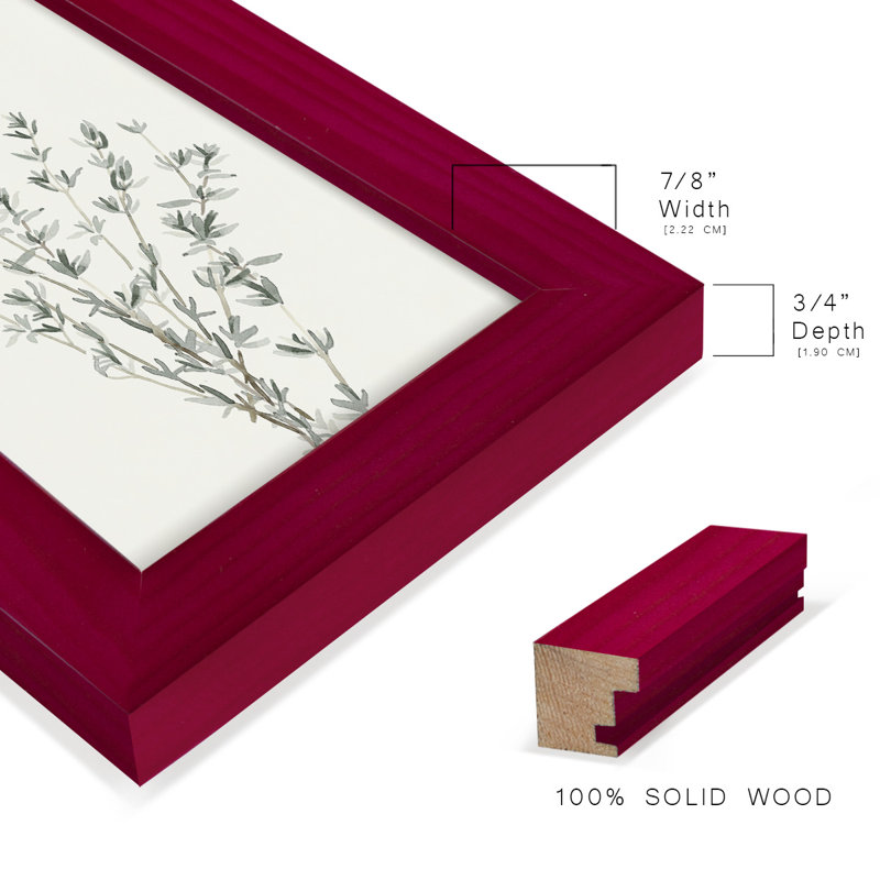 Brigette Delicate Sage Botanical III, reproduction d'art encadrée, Rouge, H 6 po x l 4 po x P 1 po
