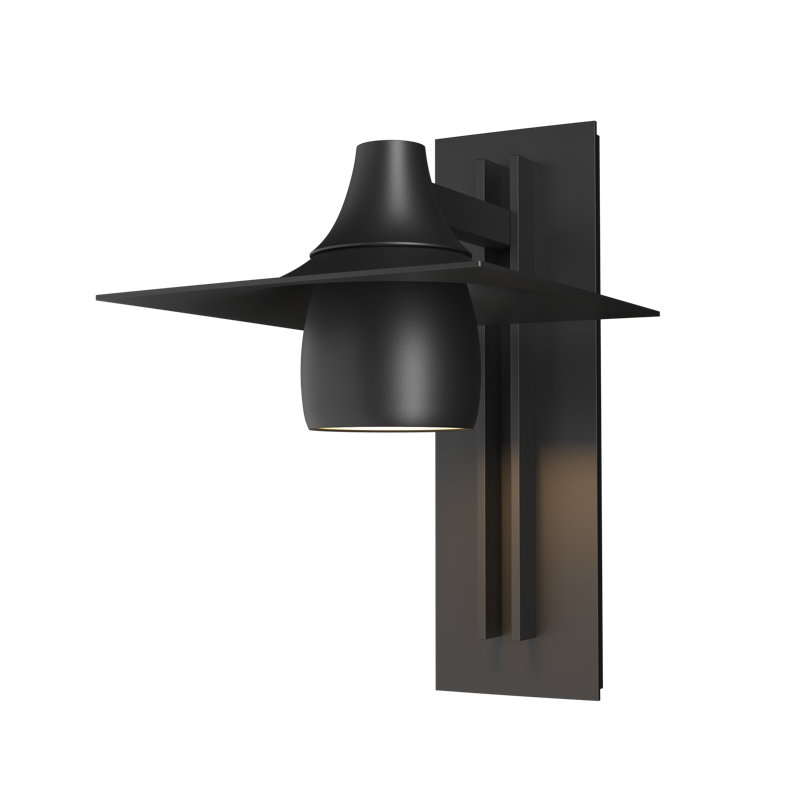 Hood Dark Sky Friendly Outdoor Armed Sconce, Coastal Black, Large