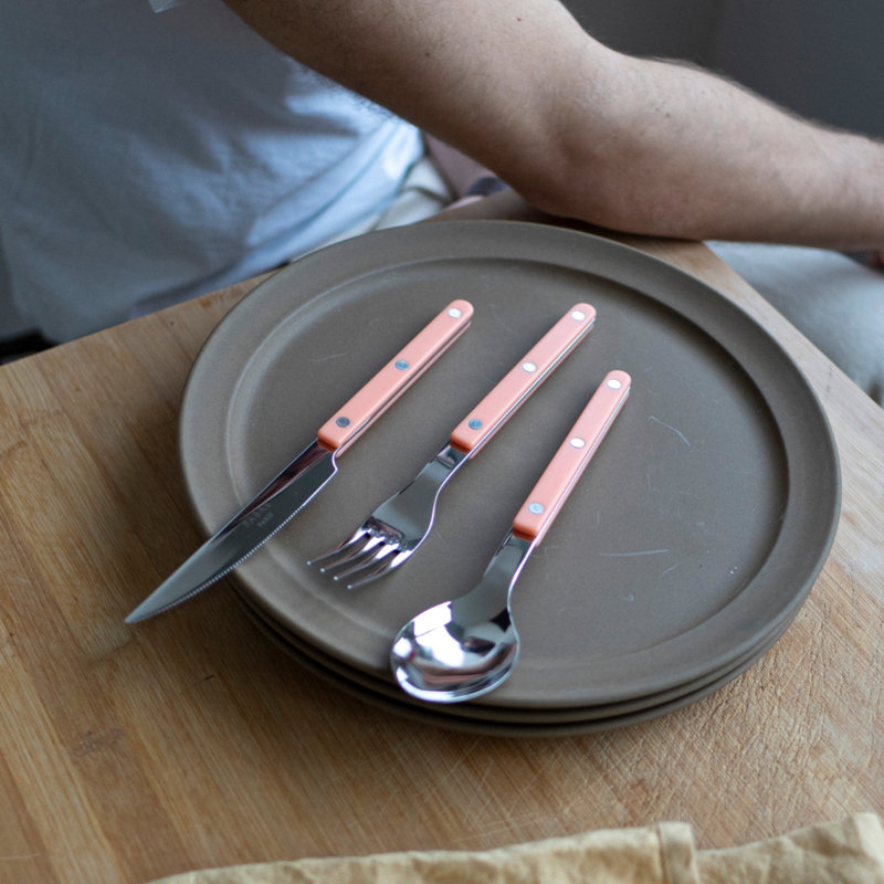 Bistrot Solid 4 - Piece Stainless Steel Flatware Set - Service for 1, Nude Pink