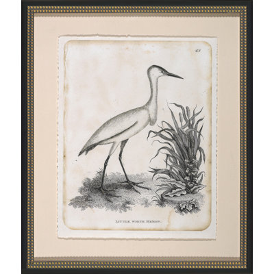 Little White Heron Painting