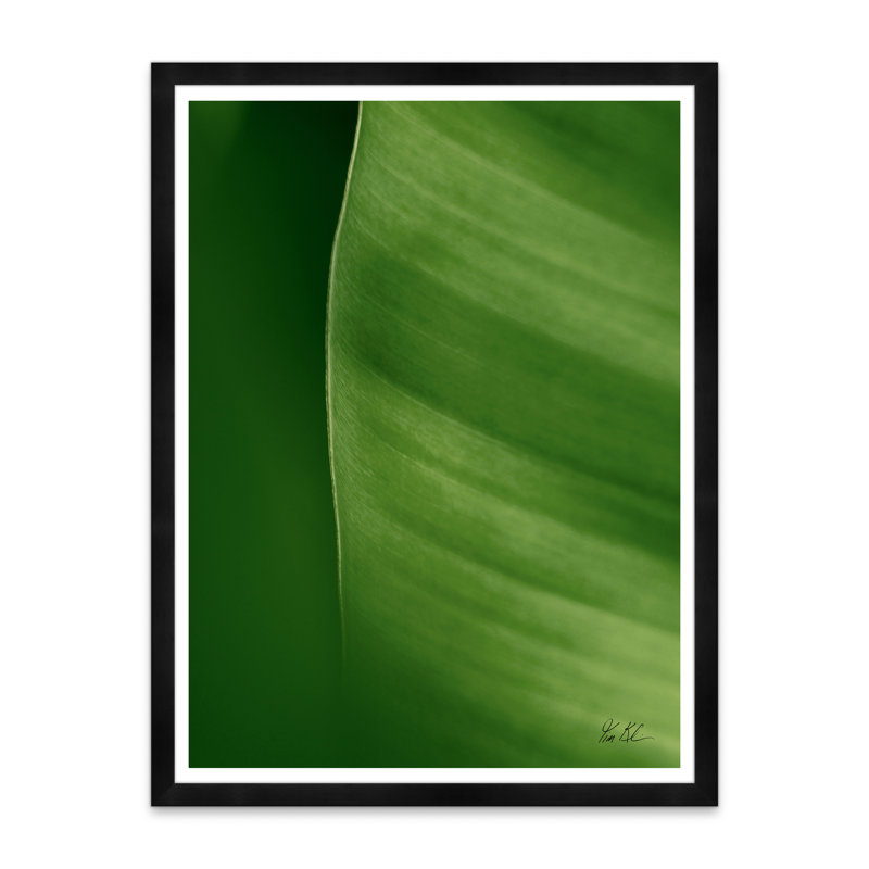 Moshi Banana Leaf Print by Tim Klein