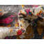 Tapis beige tissé à la machine Clevenger-718934375