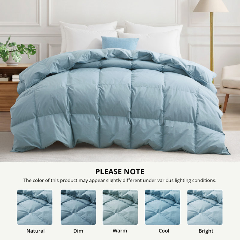 Insertion de couette toutes saisons en duvet d'oie blanche et en duvet avec housse 100% coton 300TC, simple, Blue, Lit simple