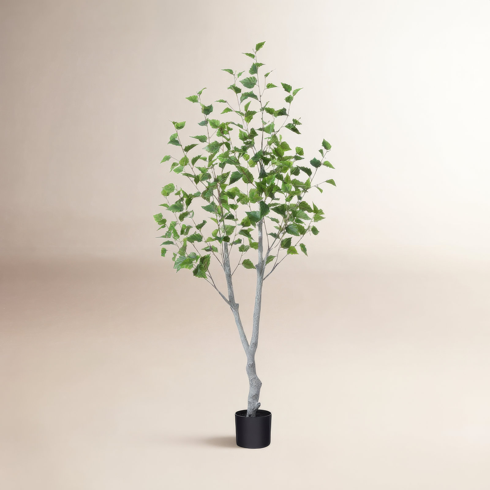 Adcock Birch Tree in Pot, 60" H x 20" W x 20" D