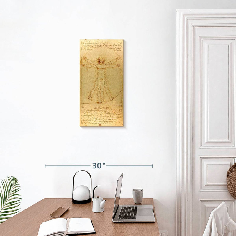 The Vitruvian Man, H 24 po x l 12 po