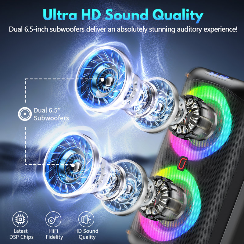 Karaoke Machine With 2 Wireless Microphones  Pa System For Adults With Echo Adjustment/Led Lights  Support Tv/Usb/Aux/Tf