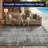 Lolley Abstract Anthracite Light Gray Indoor Outdoor Area Rug-1797226228