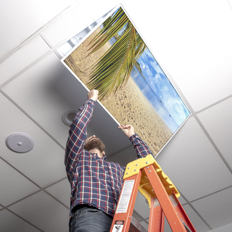 Housses pour lampes de plafond Beach Classroom