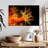 Brampt Sun Polyps-107844334