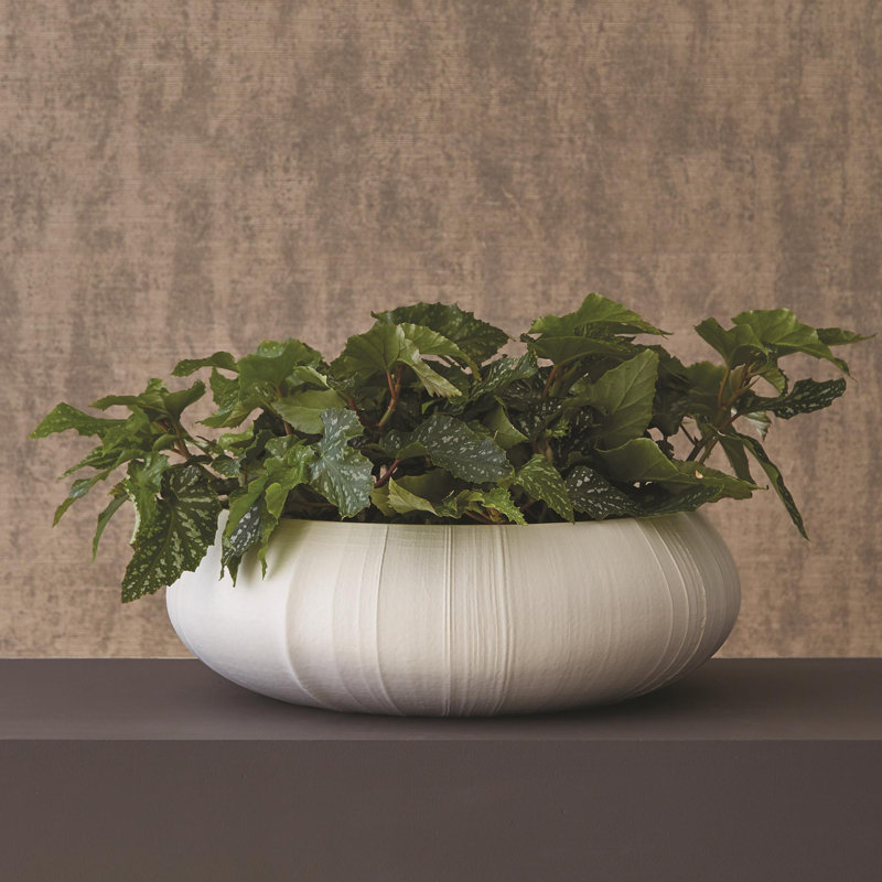 Handcrafted Soft White Porcelain Centerpiece Bowl, 18"